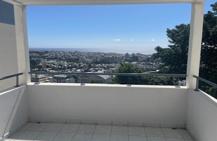 MAGNIFIQUE T2 MEUBLE AVEC TERRASSE ET VUE MER