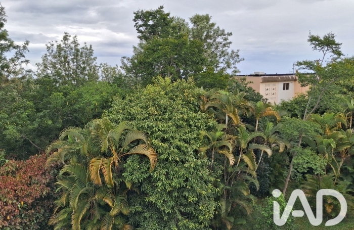 Vente Appartement 84m&sup2; 5 pièces Le Tampon