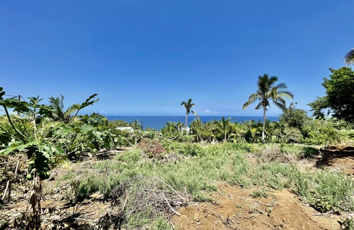 Vente Terrain 97429