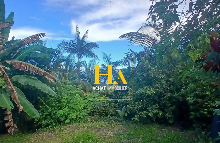 Vente Maison 80m&sup2; 4 pi&egrave;ces Petite &icirc;le