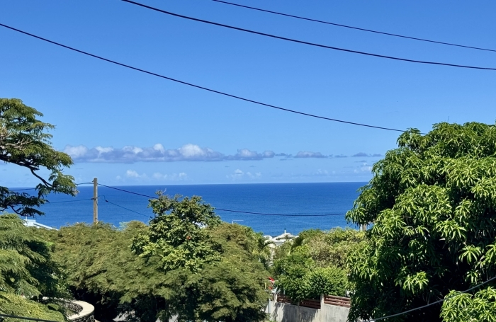 &Agrave; Vendre   Maison F3 enti&egrave;rement r&eacute;nov&eacute;e &agrave; Terre Sainte   Saint-Pierre