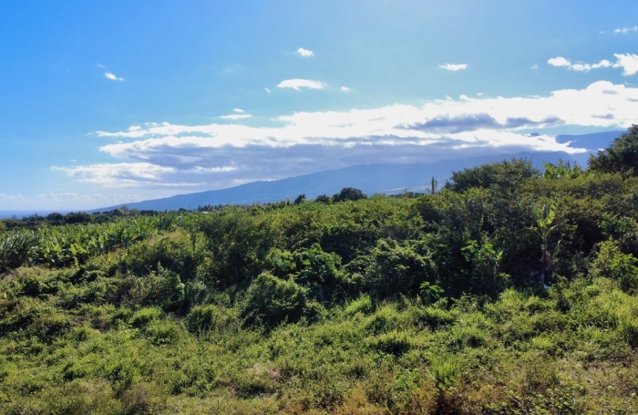 Vente Terrain 97410