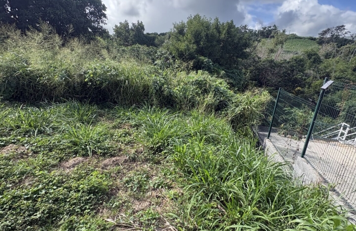 Vente Terrain 1353m&sup2; Sainte Marie