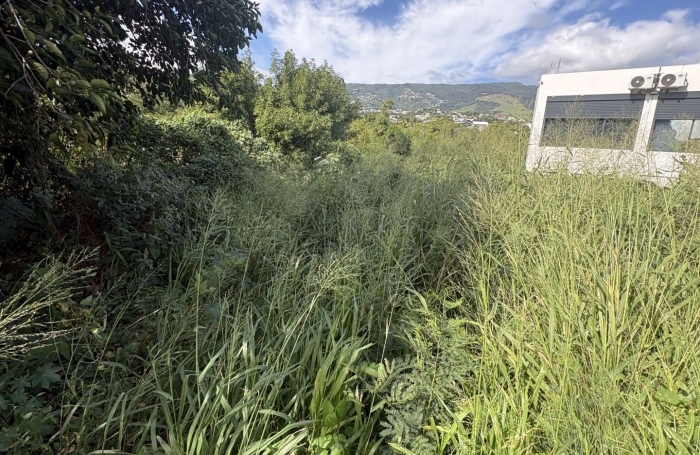 Vente Terrain 1353m&sup2; Sainte Marie