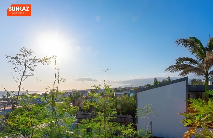 Vente Maison 97410