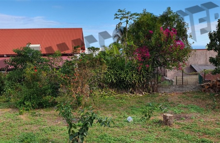 Location Maison 
