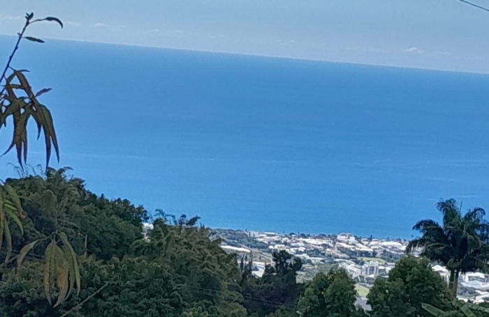 Location Maison 114.88m&sup2; 4 pièces Saint Denis