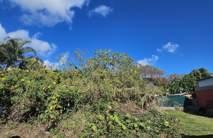 Vente Terrain 446m&sup2; Le Guillaume