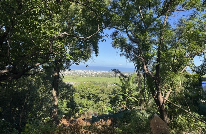 TERRAIN &Agrave; B&Acirc;TIR 542 m2   VUE D&Eacute;GAG&Eacute;E MER ET LITTORAL  RIVIERE SAINT LOUIS