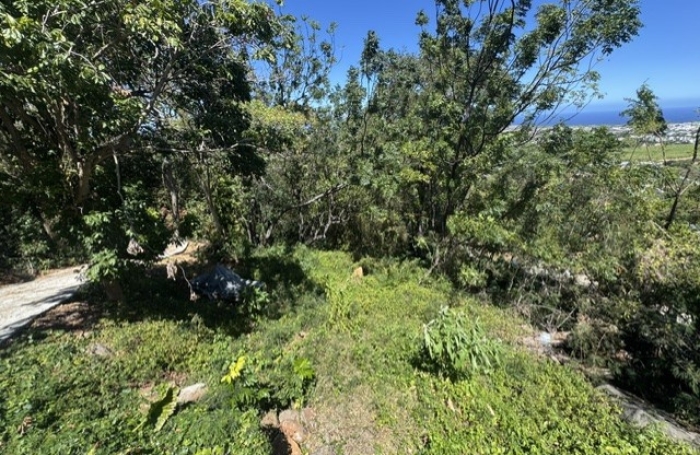 TERRAIN &Agrave; B&Acirc;TIR 542 m2   VUE D&Eacute;GAG&Eacute;E MER ET LITTORAL  RIVIERE SAINT LOUIS