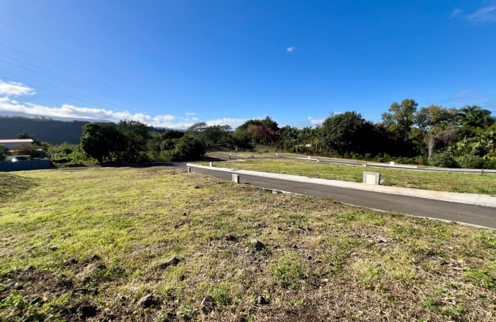 Vente Terrain 97450