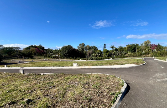 Vente Terrain 253m&sup2; Saint Louis