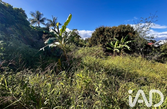 Vente Terrain 414m&sup2; Le Tampon