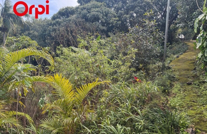 Vente Terrain 1630m&sup2; L'Entre Deux
