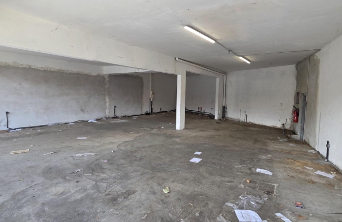 Location Local commercial 118m&sup2; 1 pièce Saint Louis