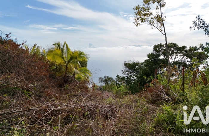 Vente Terrain 1689m&sup2; Saint-Leu