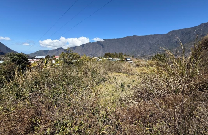Vente Terrain 1041m&sup2; Cilaos