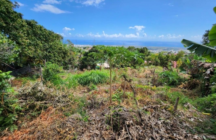 Vente Terrain 97490
