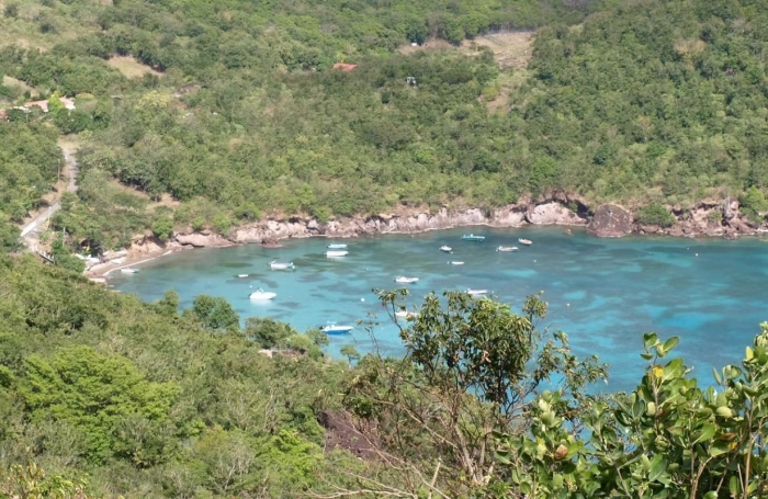 Vente Terrain 20000m&sup2; Terre de Bas