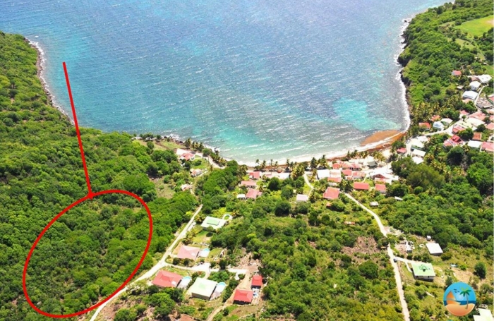 Vente Terrain 20000m&sup2; Terre de Bas