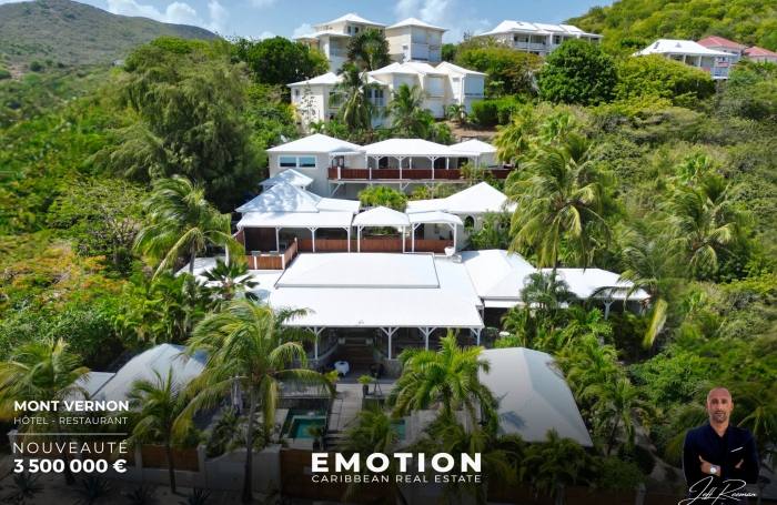 Vente Local commercial 97150