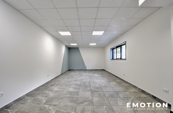 EMOTION REAL ESTATE - LOCAL PROFESSIONNEL - 43m2
