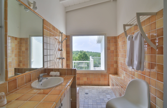 Propri&eacute;t&eacute; de 2 villas vue mer aux Terres Basses