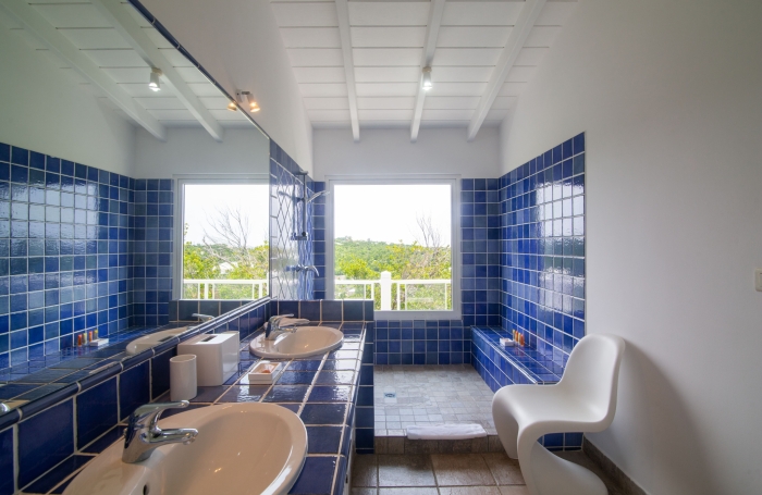 Propri&eacute;t&eacute; de 2 villas vue mer aux Terres Basses