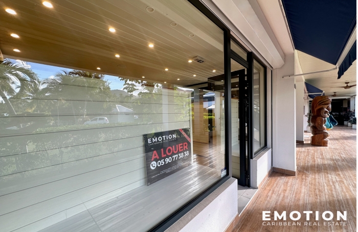 Location Local commercial 97150