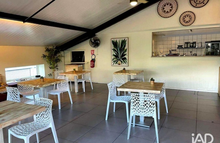 Vente Local commercial 97150