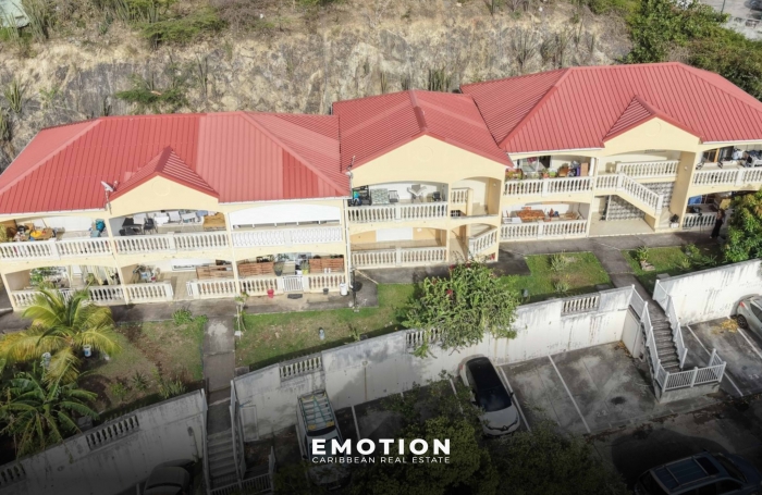 Vente Appartement 97150