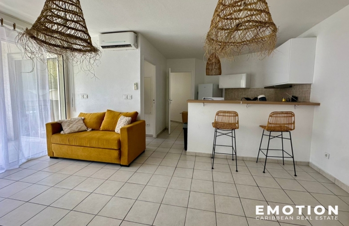 Location Appartement 97150