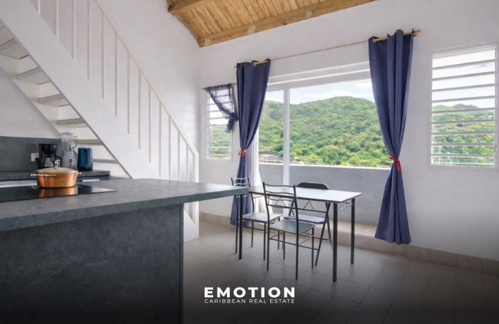 Vente Appartement 97150