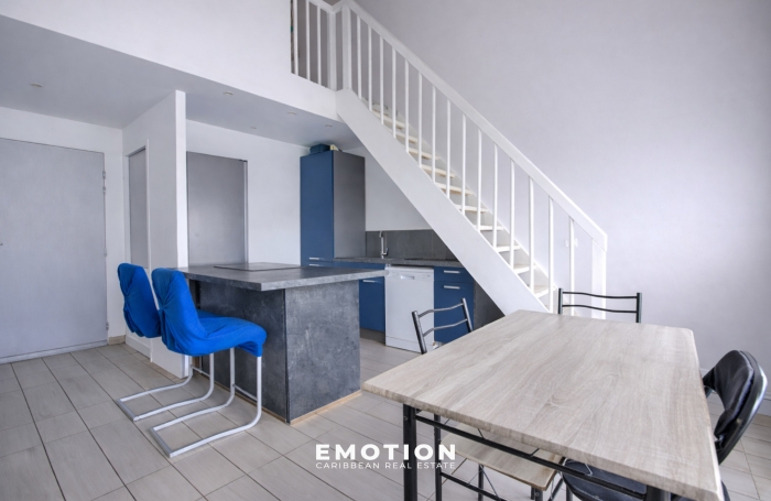 Appartement duplex T3 bis + terrasse vue marina