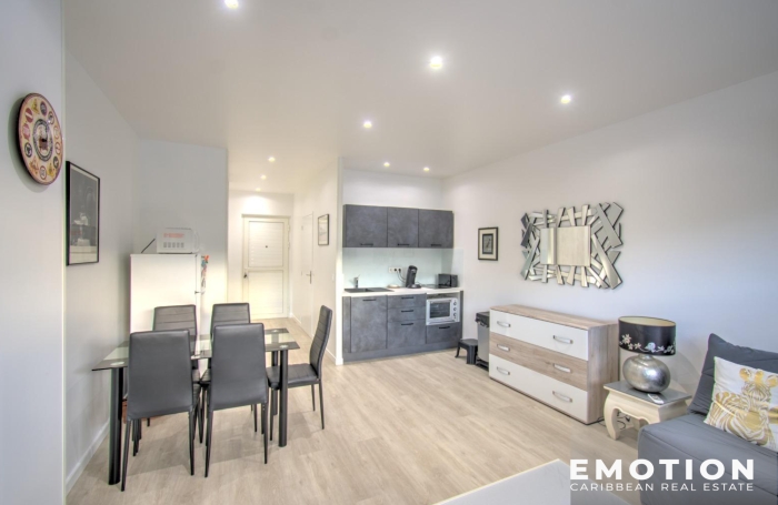 Location Appartement 97150