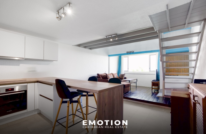 Vente Appartement 97150